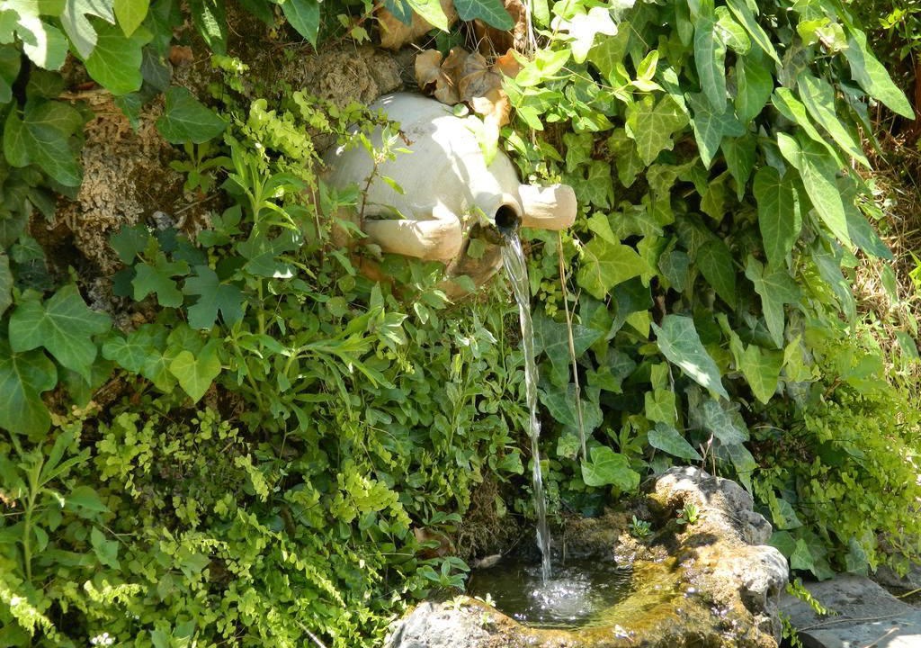 Photo of Others in Velies