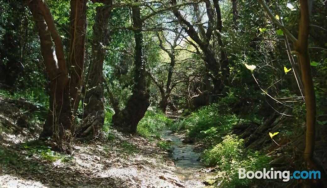 Photo of Outdoor in Velies