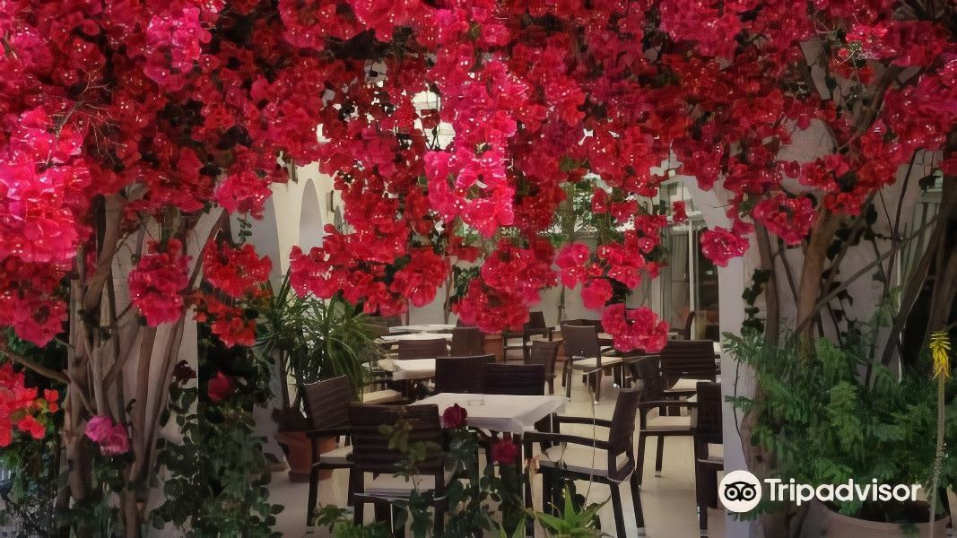 Photo of Patio Balcony in Kiparissia