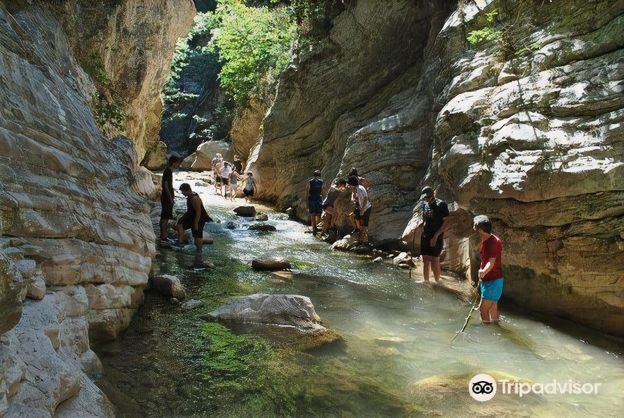 Photo of Others in Kiparissia