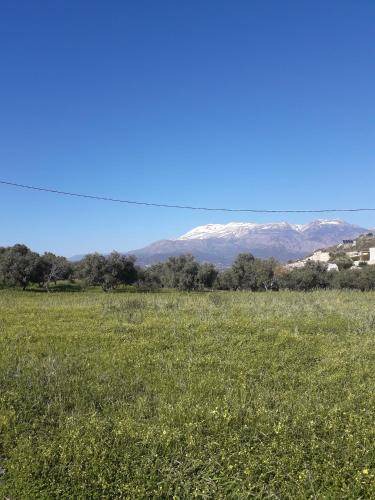 Photo of Others in Kamilari