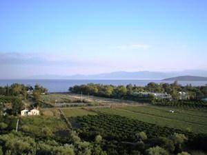 Photo of Others in Drepano
