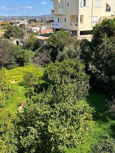 Photo of Others in Anavyssos