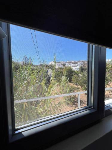 Photo of Patio Balcony in Platis Gialos
