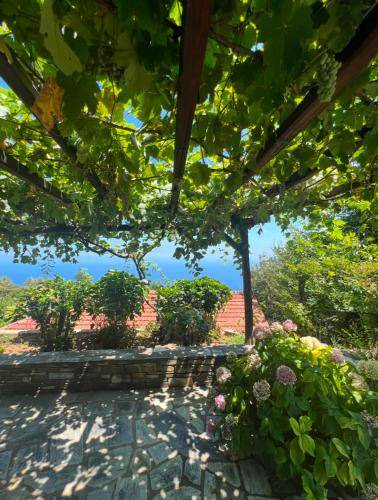 Photo of Others in Agios Dimitrios