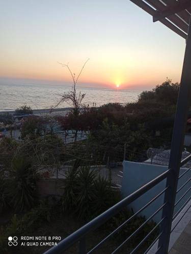 Photo of Others in Preveza