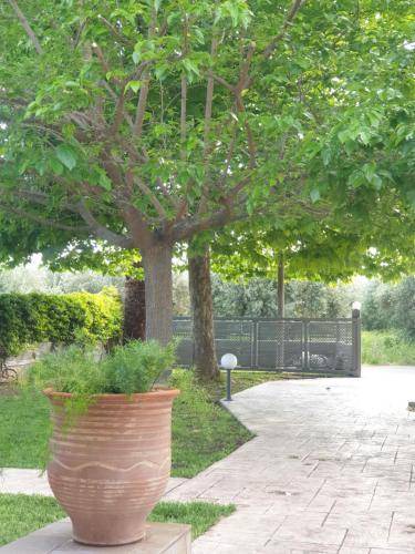 Photo of Others in Artemisio