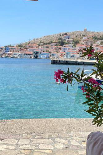 Photo of Others in Halki