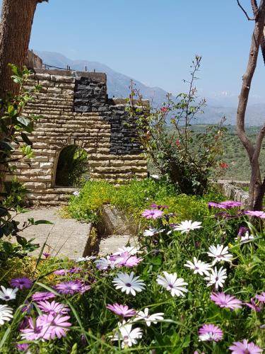 Photo of Others in Episkopi