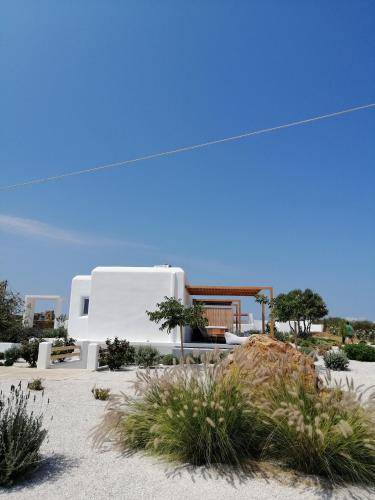 Photo of Others in Naxos