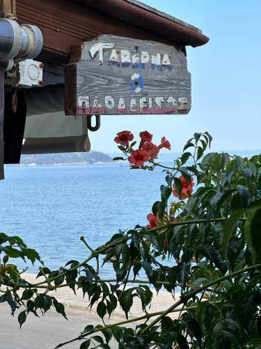 Photo of Others in Paradhisos