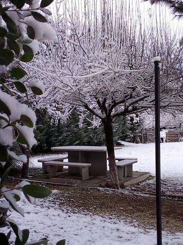Photo of Others in Ioannina