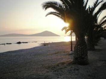 Photo of Others in Drepano