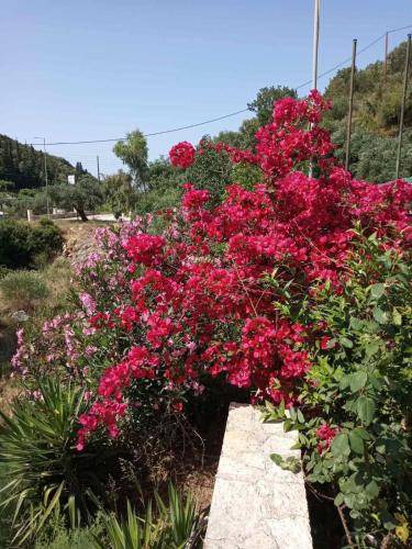 Photo of Outdoor in Sivota