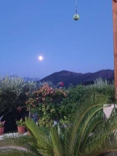 Photo of Others in Agios Nikolaos
