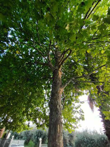 Photo of Outdoor in Artemisio