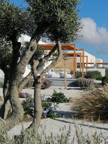 Photo of Others in Naxos