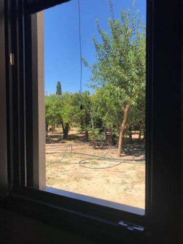 Photo of Others in Chios
