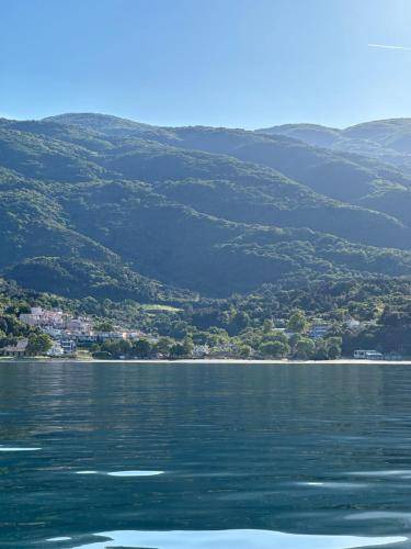 Photo of Others in Agia