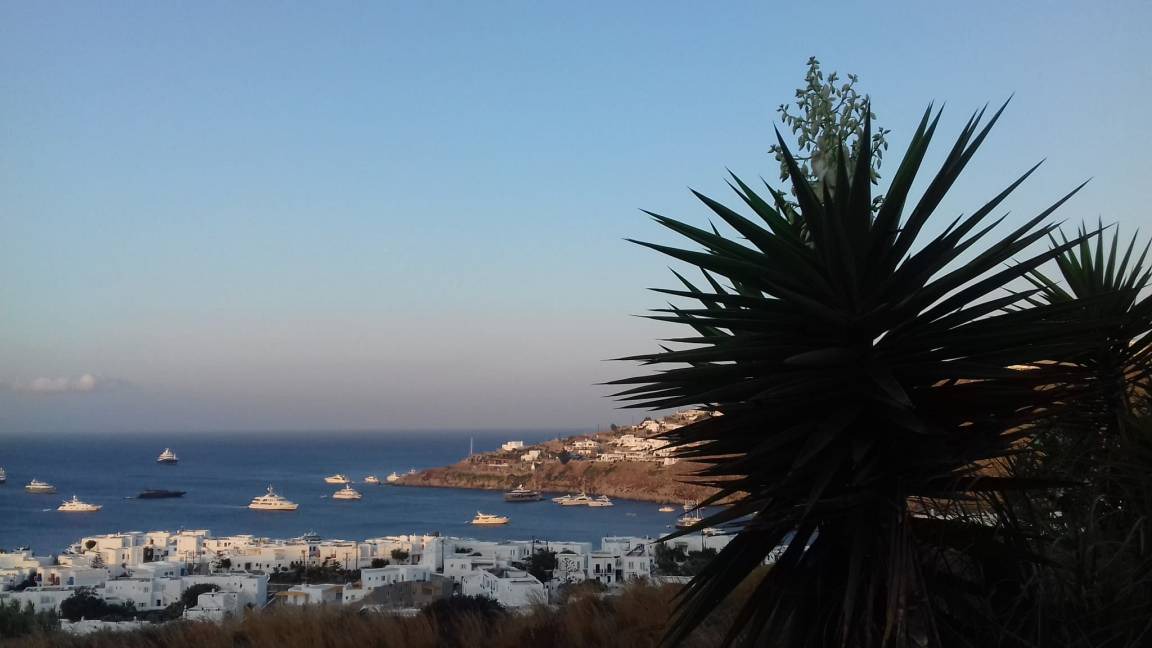 Photo of Others in Platis Gialos