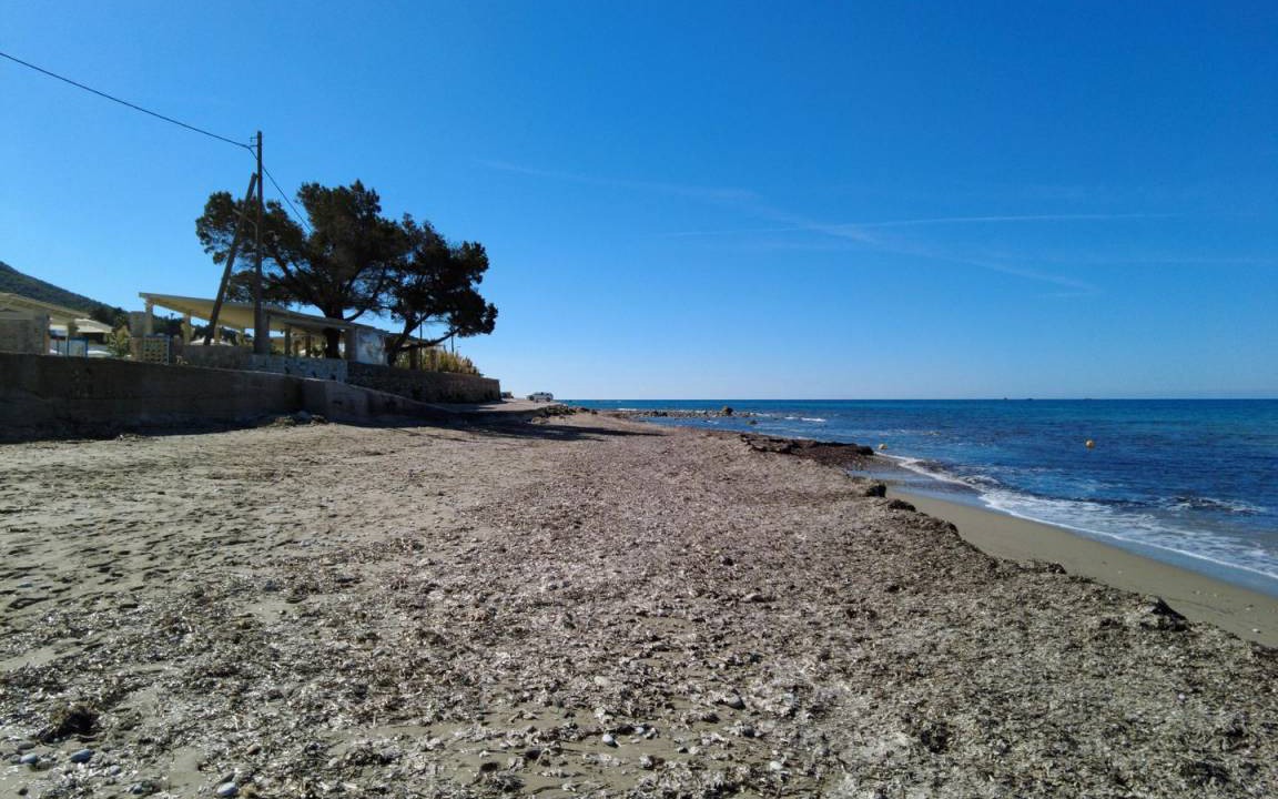 Photo of Others in Skala