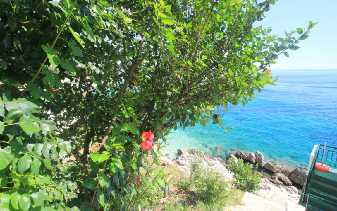 Photo of Others in Katavolos