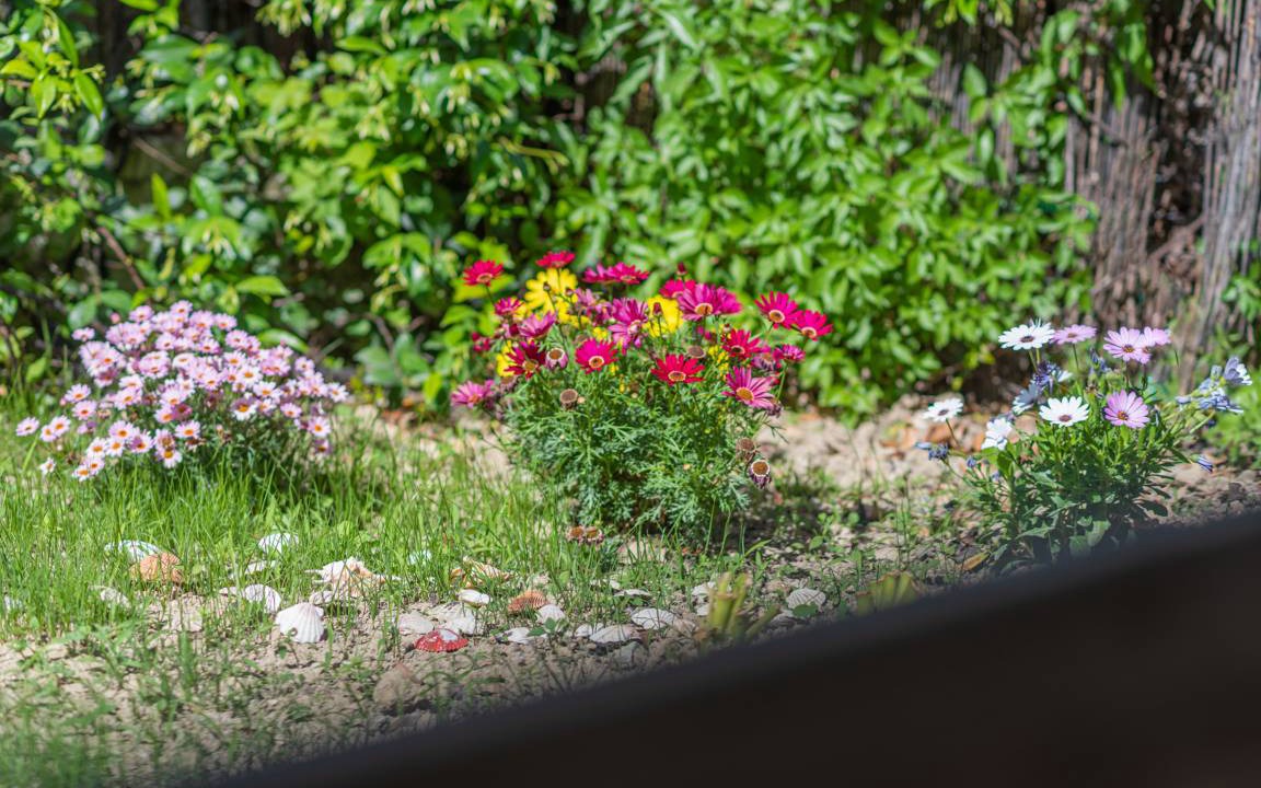 Photo of Others in Agios Gordios