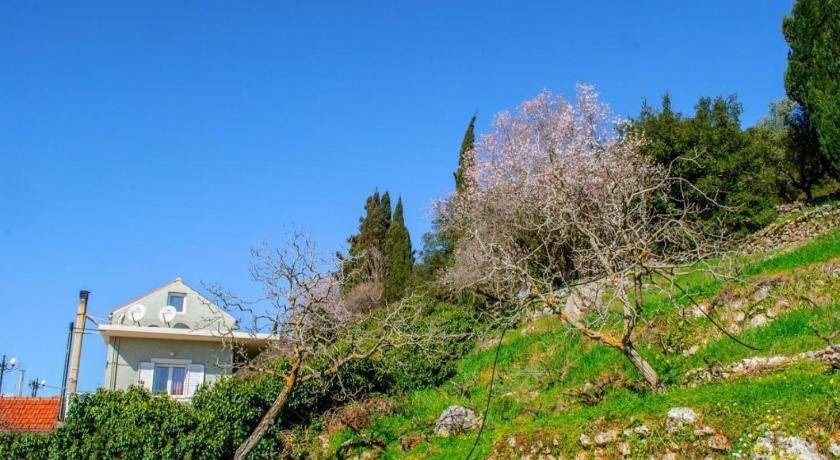 Photo of Others in Agios Eleftherios
