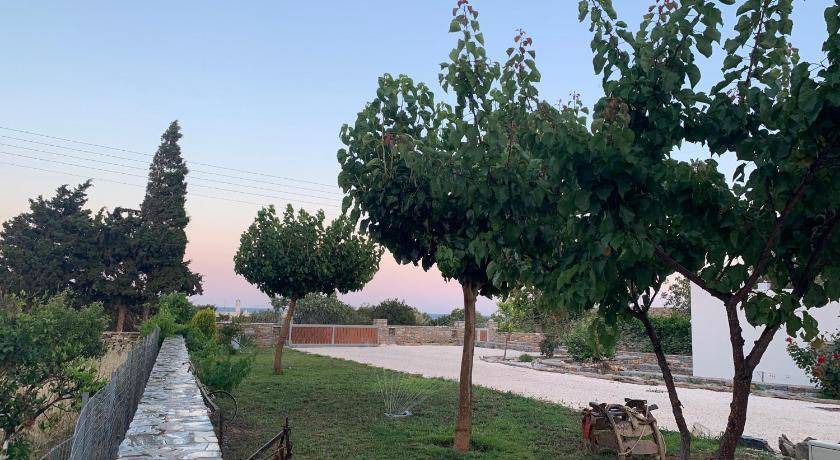 Photo of Others in Naxos