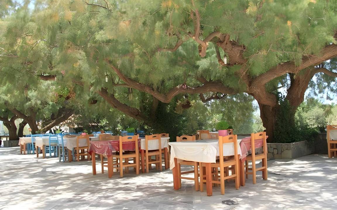 Photo of Others in Falassarna