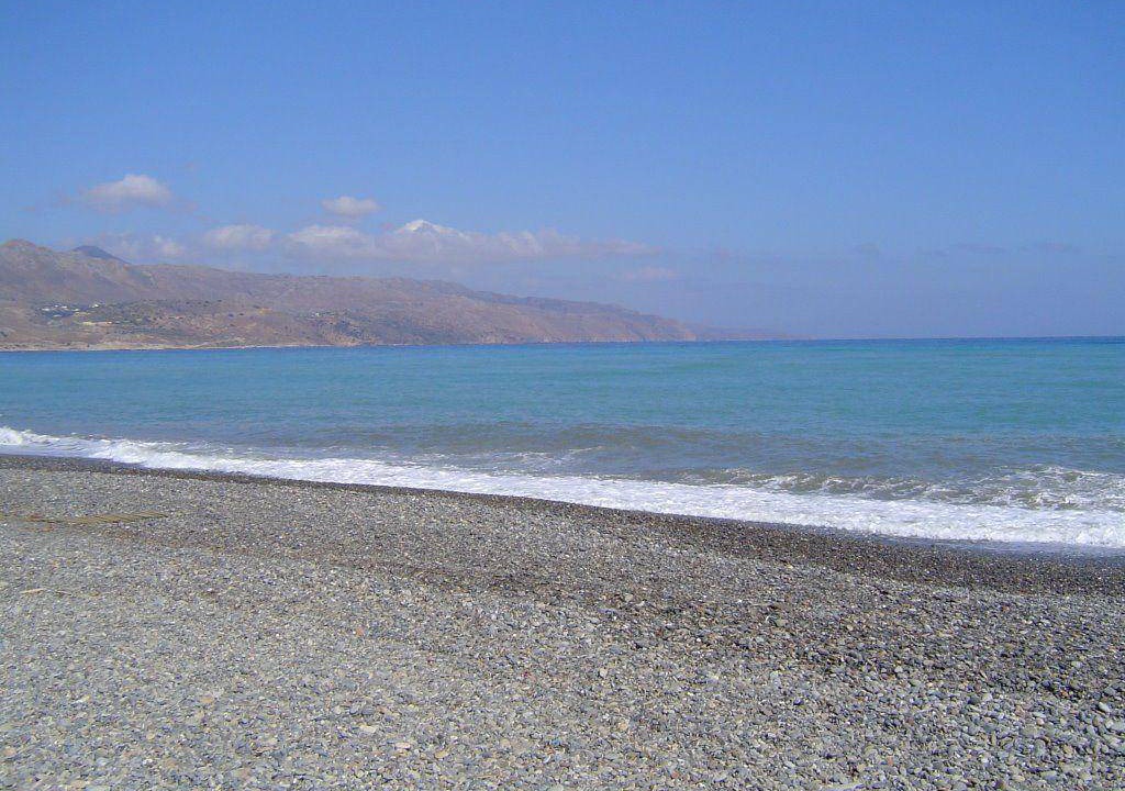 Photo of Others in Rapaniana