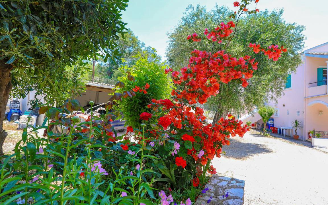 Photo of Others in Agios Spyridon Corfu