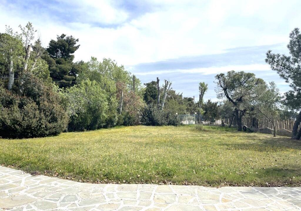 Photo of Others in Elia