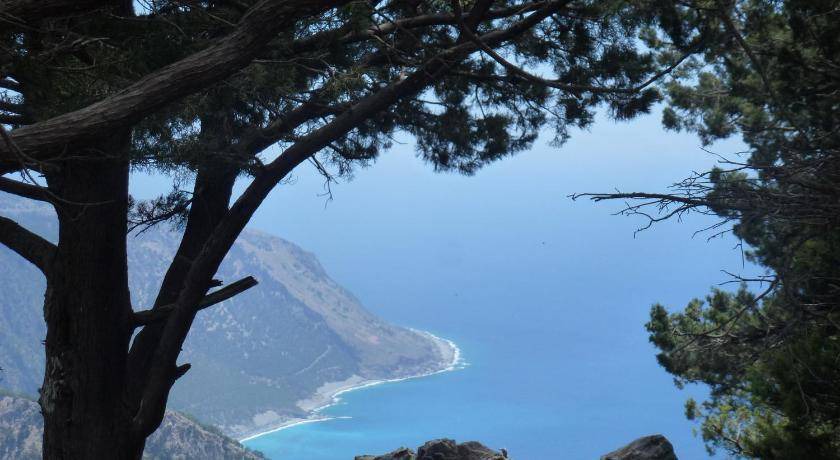 Photo of Others in Agia Roumeli