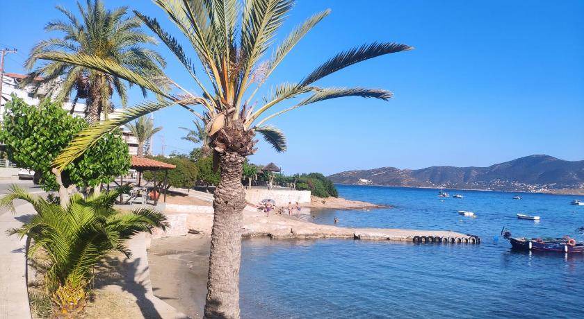 Photo of Others in Porto Rafti