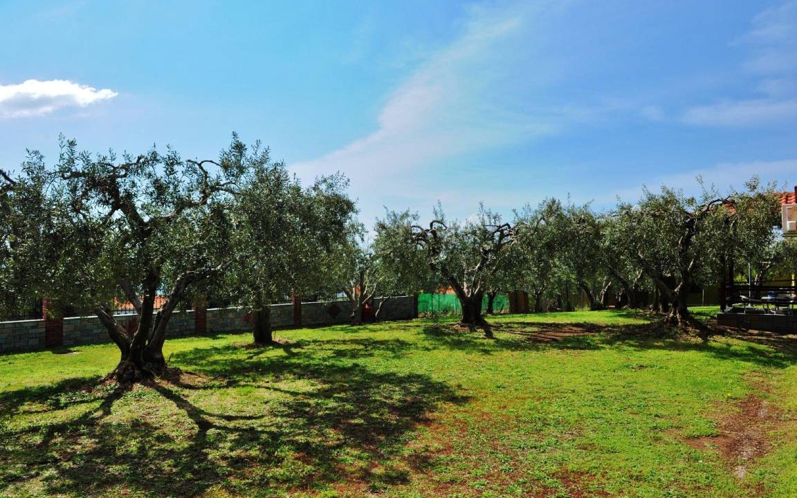 Photo of Outdoor in Gerakini