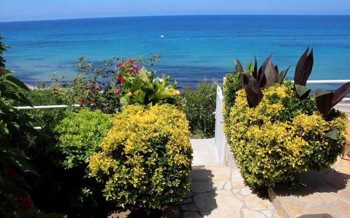 Photo of Others in Skala