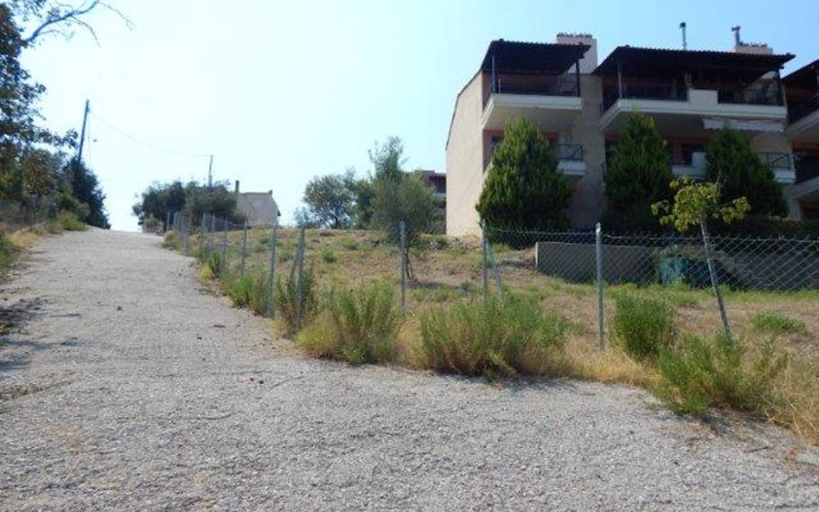 Photo of Others in Pefkochori
