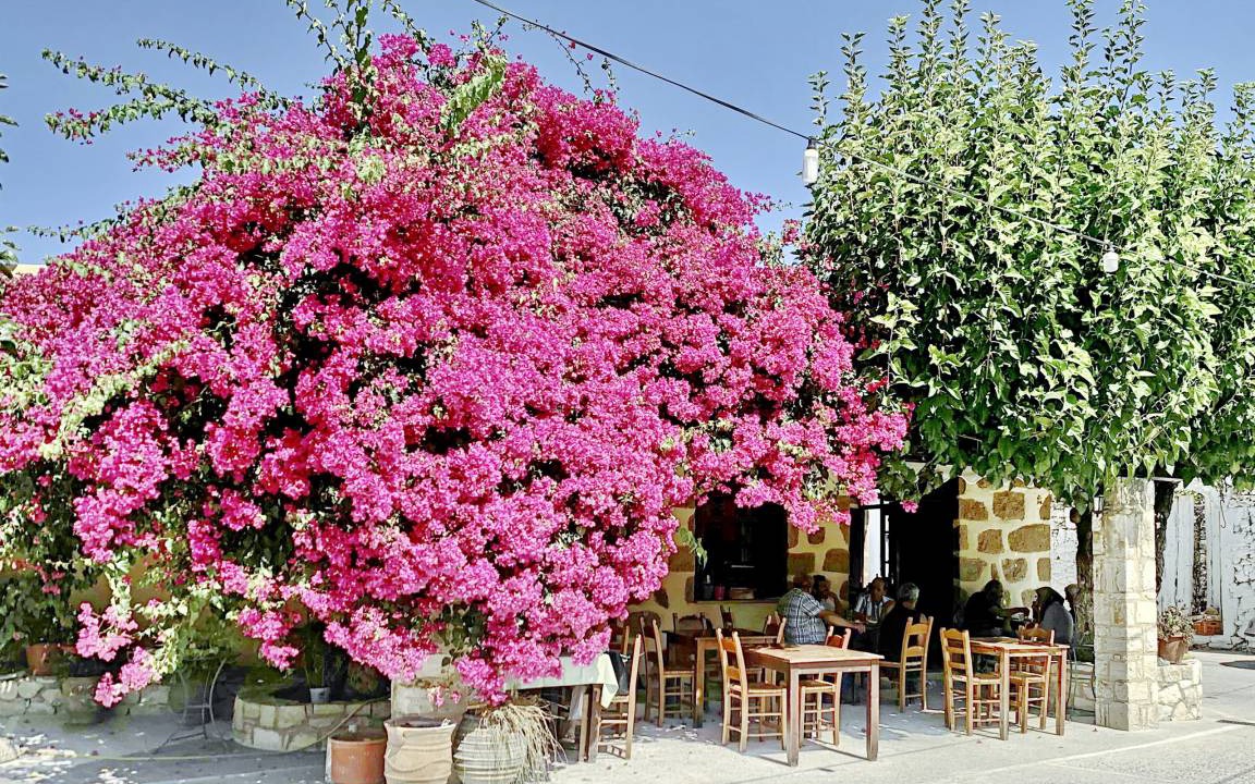 Photo of Others in Filippos