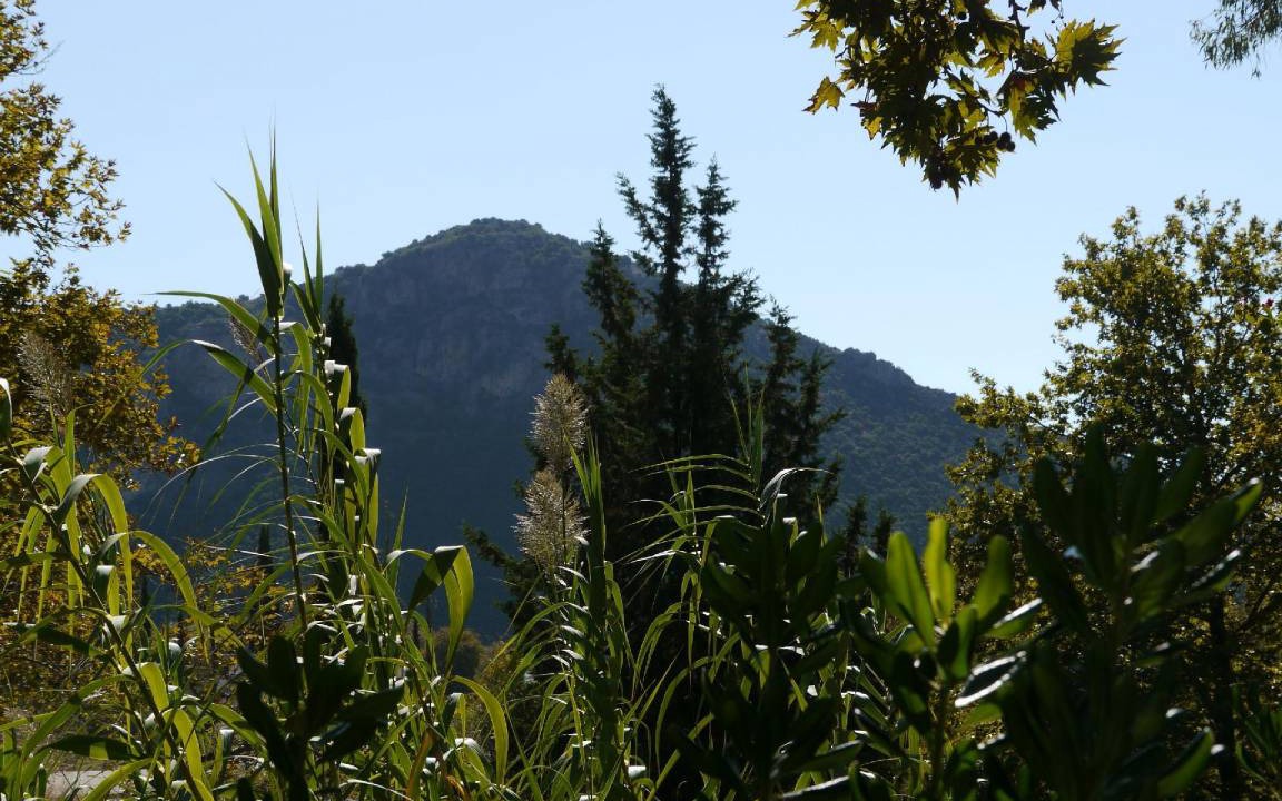 Photo of Outdoor in Dorida