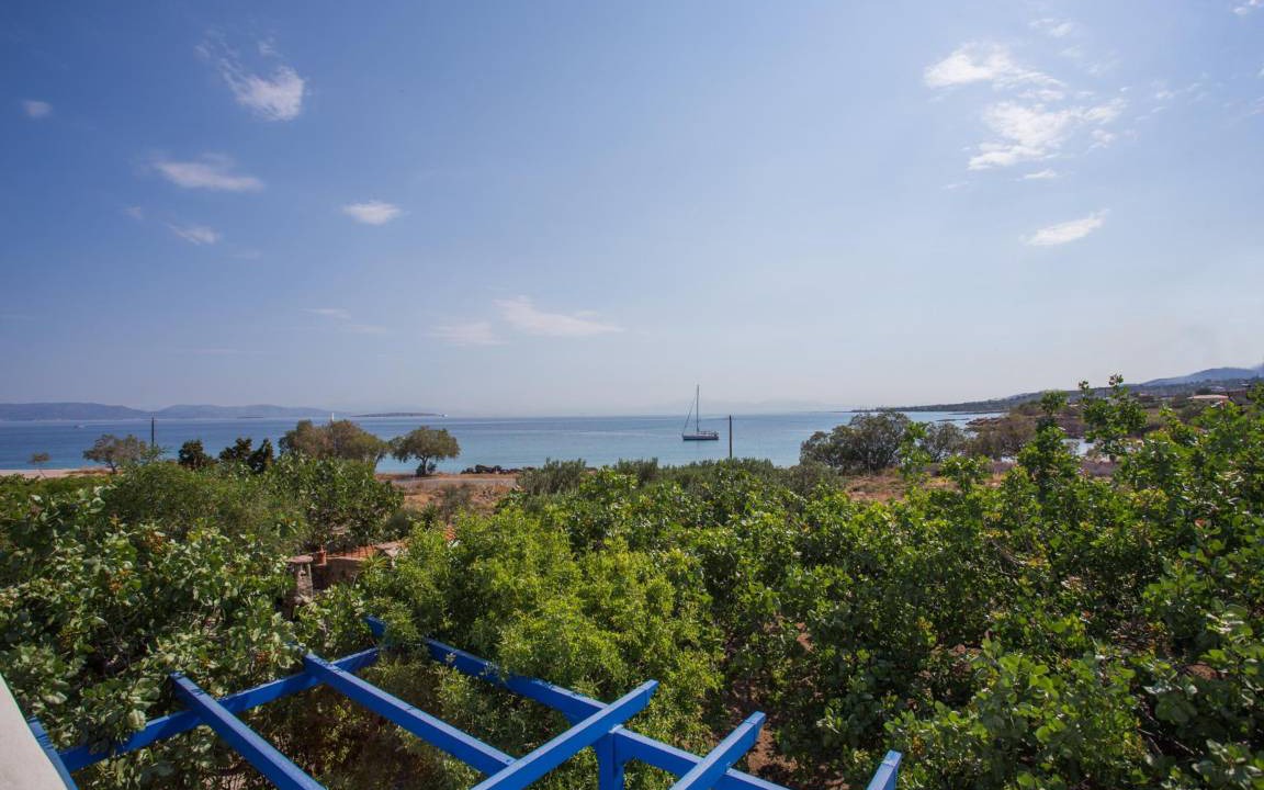Photo of Others in Aegina