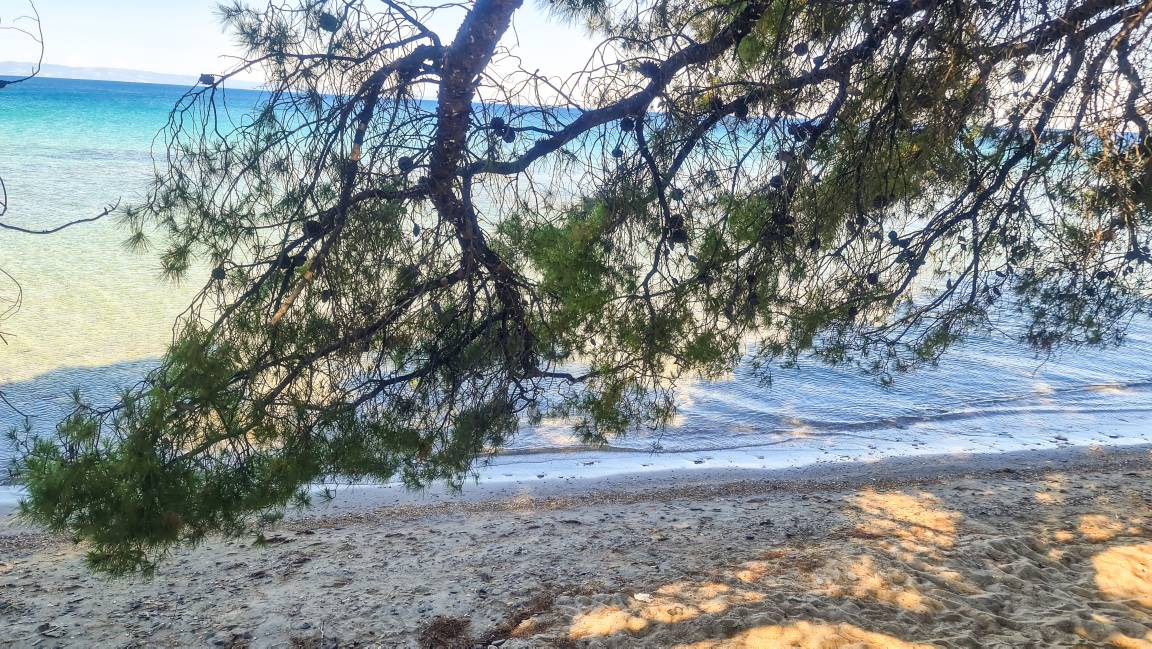 Photo of Others in Elia Nikitis