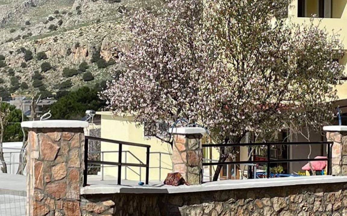 Photo of Others in Pefkos