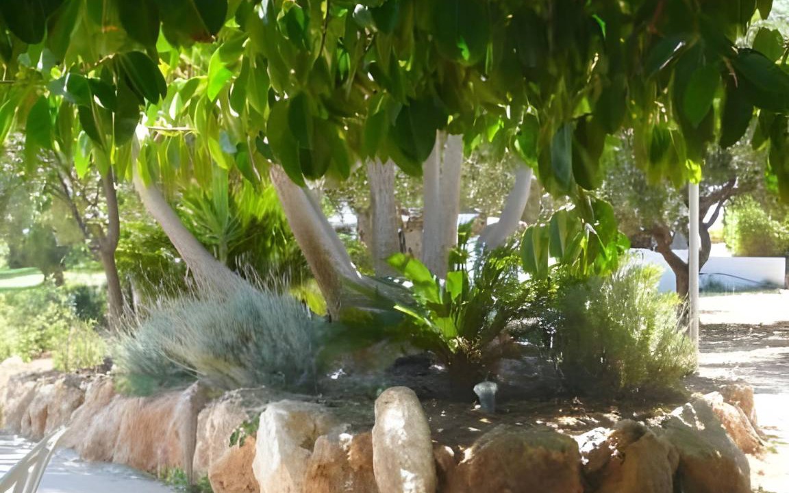 Photo of Others in Gialos