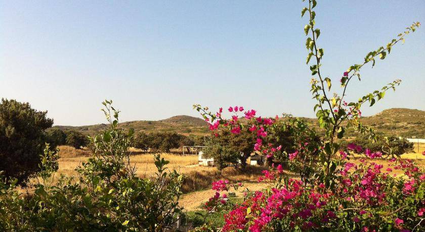 Photo of Others in Milos