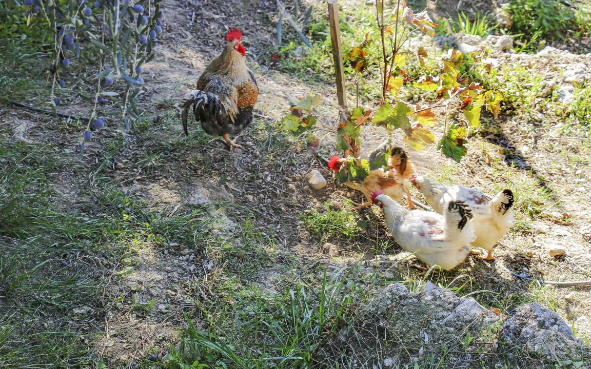 Photo of Outdoor in Paralia Porovitsis