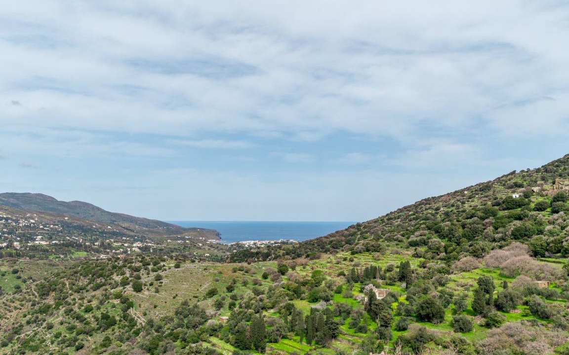 Photo of Others in Andros Town