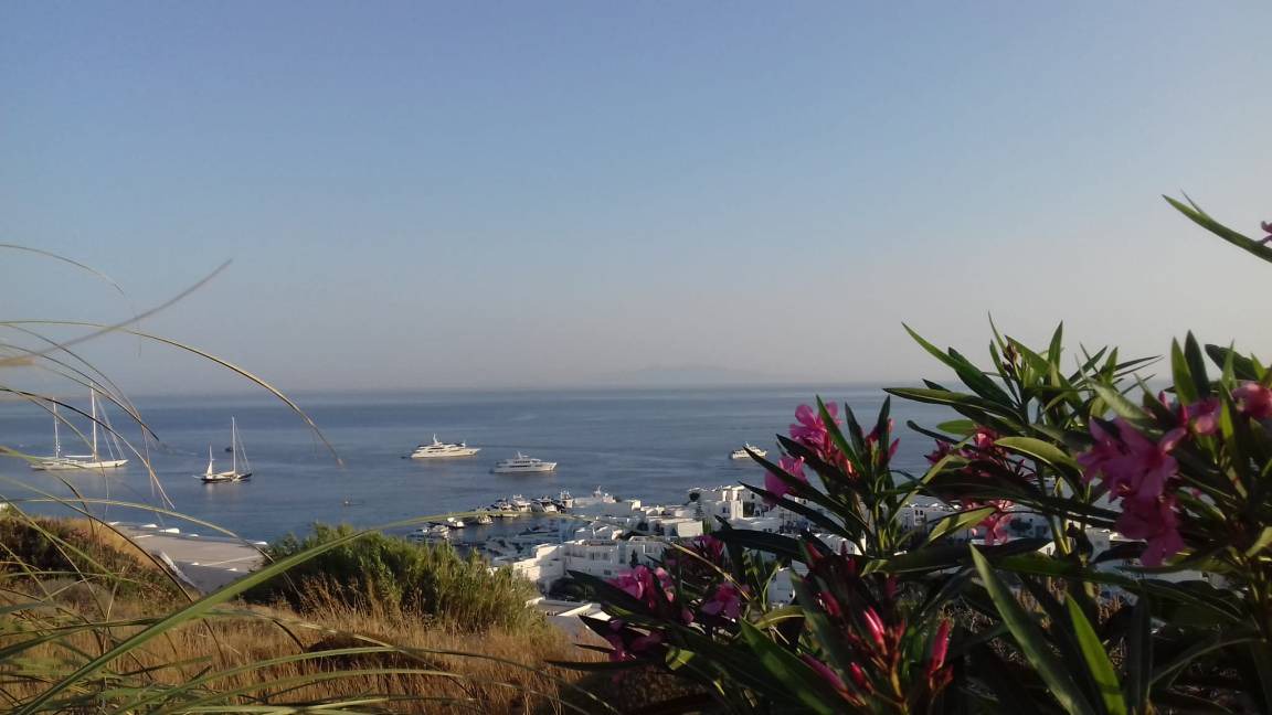 Photo of Others in Platis Gialos