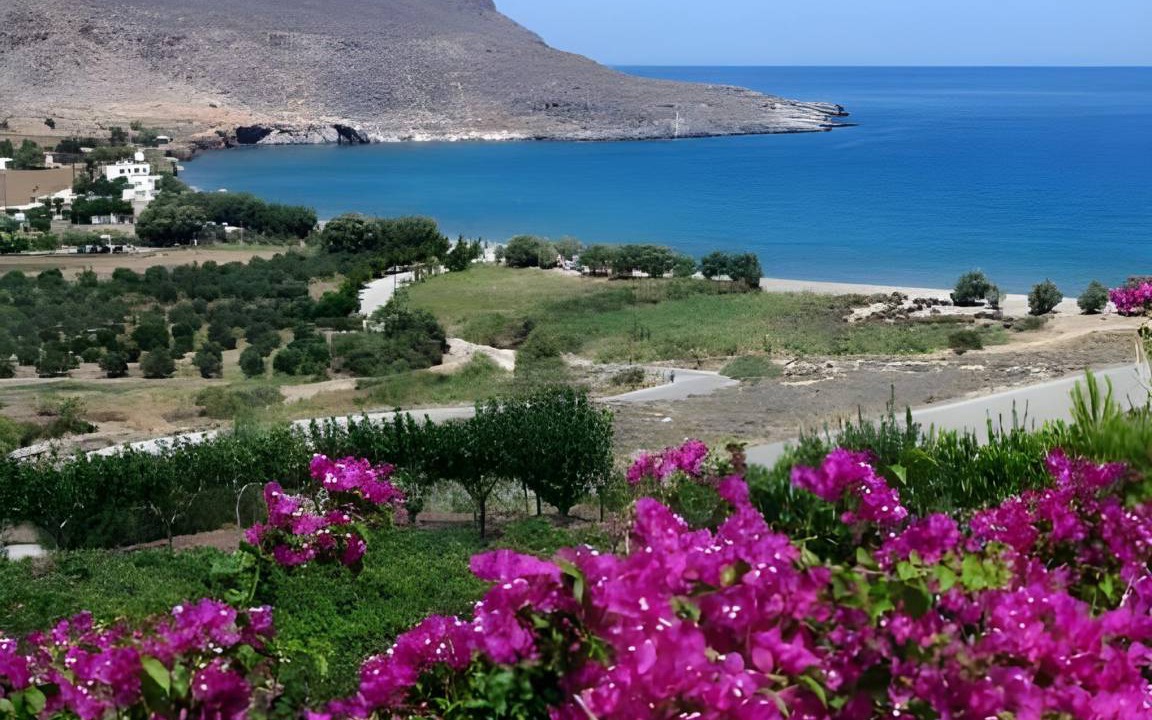 Photo of Others in Sitia