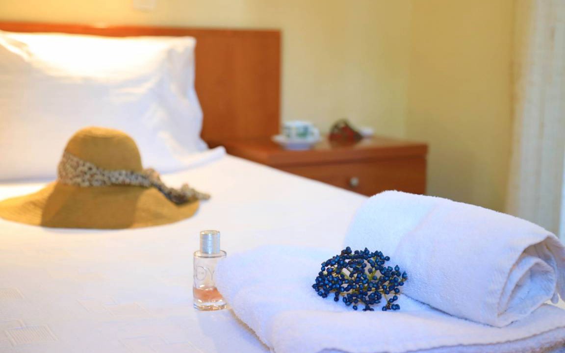 Photo of Bedroom in Agni